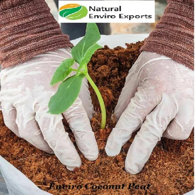 5kg Eco Friendly Made Coco Peat/Pith Used in Terrace and Pot Garden