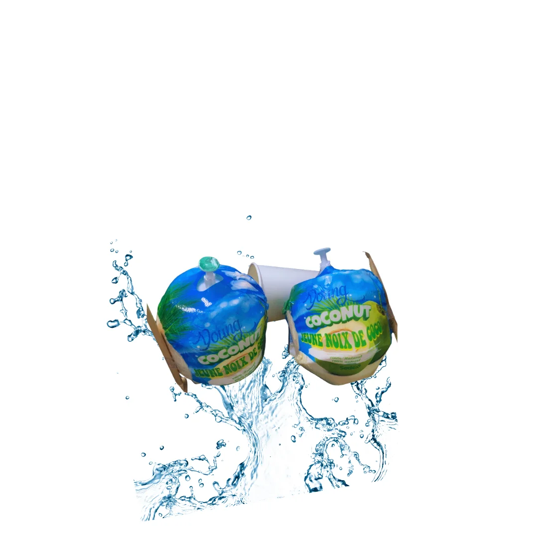 Fresh Coconut from Vietnam - Complete Natural Purity