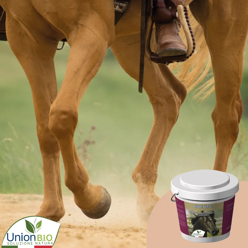 Top quality made in Italy plant based formulation BIO TITE natural anti fatigue clay for horses