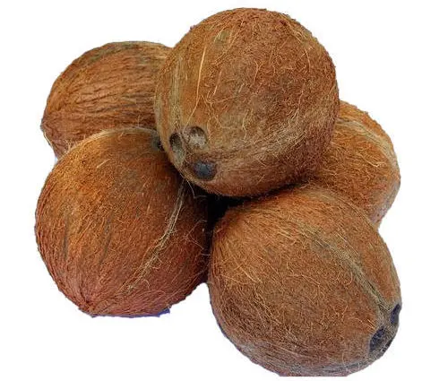 Semi Husked Coconut for Thailand Market - Semi Husked High Quality Coconut - Good Product Good Food Ingredient