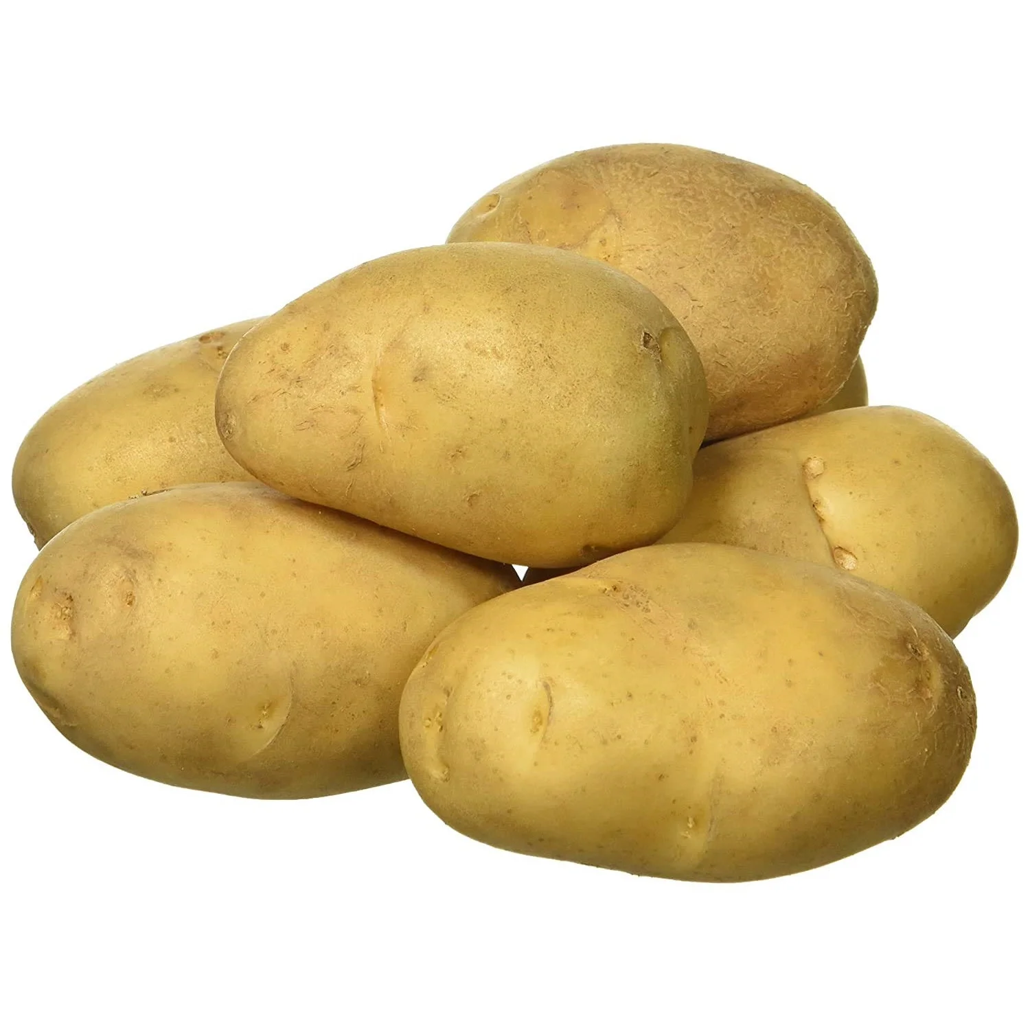 Wholesale Potato Product/potatoes for chips/ sweet potatoes wholesale fresh potato