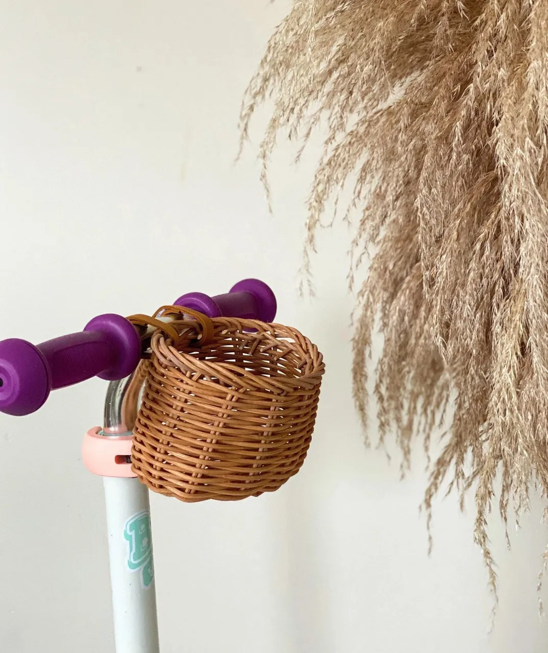 Cute Mini Bike Rattan Basket for Kid Baby