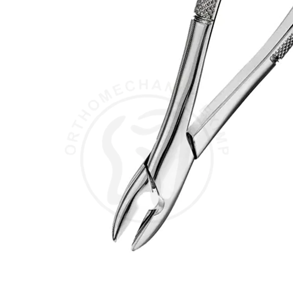 High Quality Stainless Steel  Forceps Orthodontic Instruments Dental Pliers Stainless Steel Adult Tooth Extraction Forceps