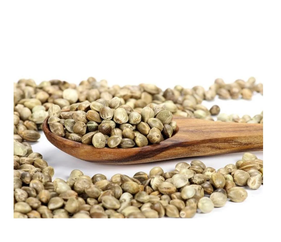 Discover Budget Friendly Hemp Seeds Ideal for Nutritious Recipes and Health Foods High Quality Seeds Available Now at Great Rate