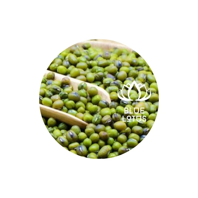 THE BEST WHOLESALE PRICE AVAILABLE at THIS TIME the Best Split and Whole Green Mung Beans From Vietnam
