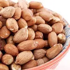 Peanuts Raw In Shell High Quality Peanuts Dried Egypt Top selling Peanuts wholesale bulk new crop