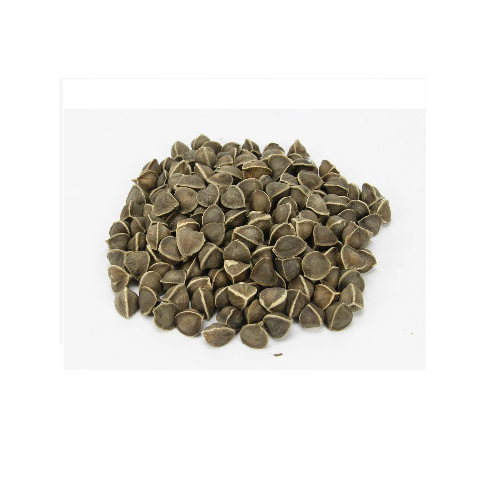 Moringa Seeds for sale at cheap price