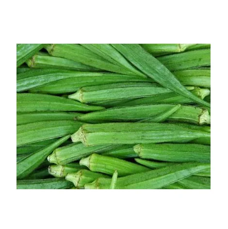 Лучшая заводская цена на натуральные свежие овощи Okra доступно в большом количестве