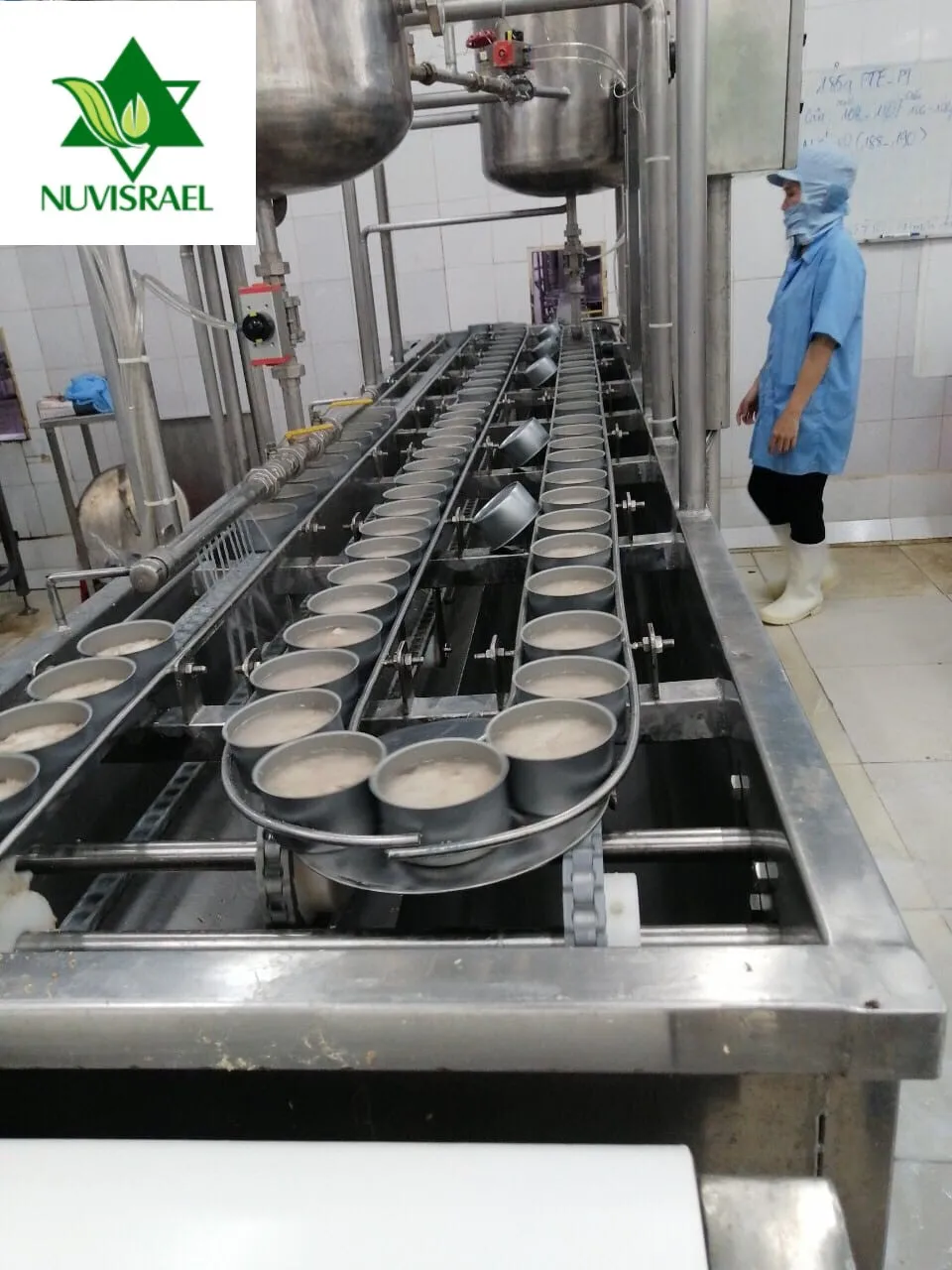 Best price high quality canned tuna in brine with variable weight for wholesale OEM hot sale