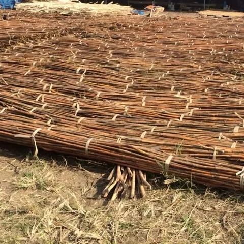 rattan Viet Nam Wholesale high quality raw rattan in bulk
