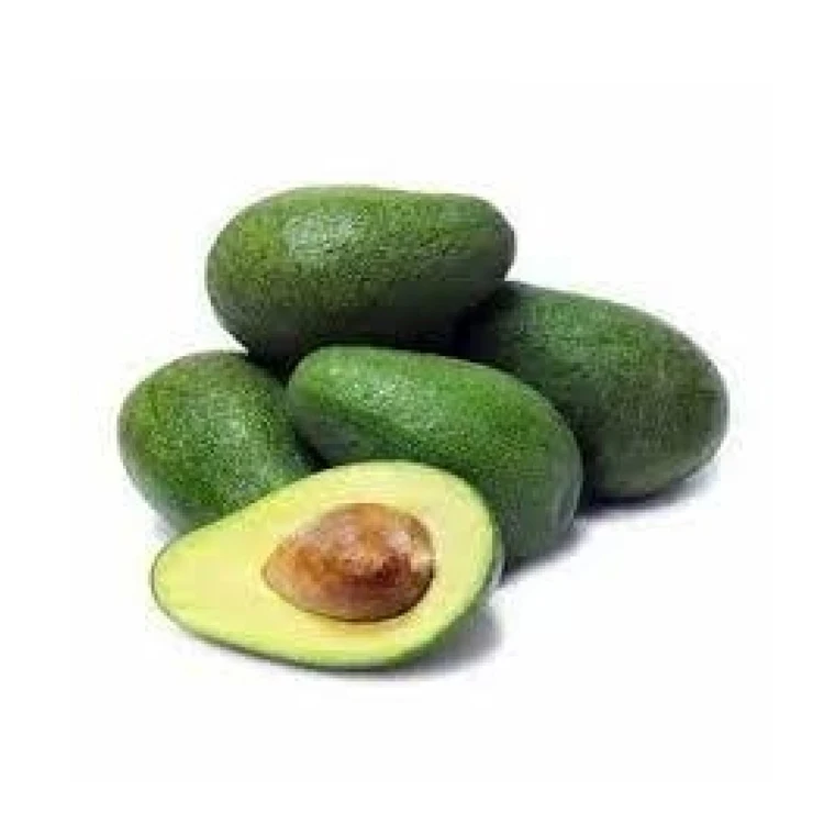 Fresh Avocado / Hass Avocado, Fuerte Avocado For Sale