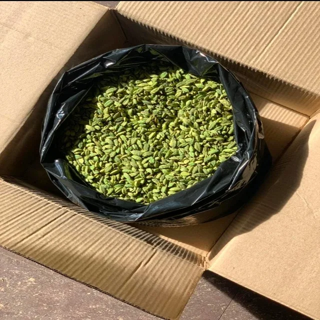 Зеленый кардамон толстый кардамон