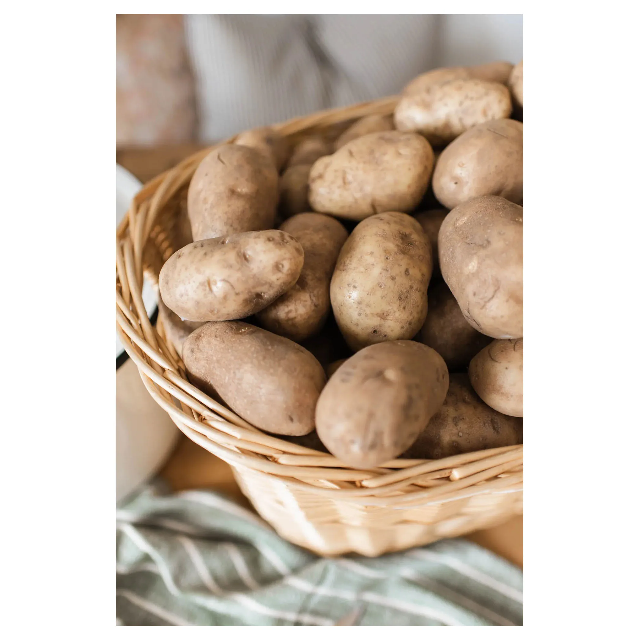 New Harvest Fresh Potatoes Exporters fresh potatoes Popular vegetable fresh potato wholesale price FOR SALE