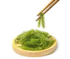 Best Sea Grapes/Green Caviar Seaweed Peals
