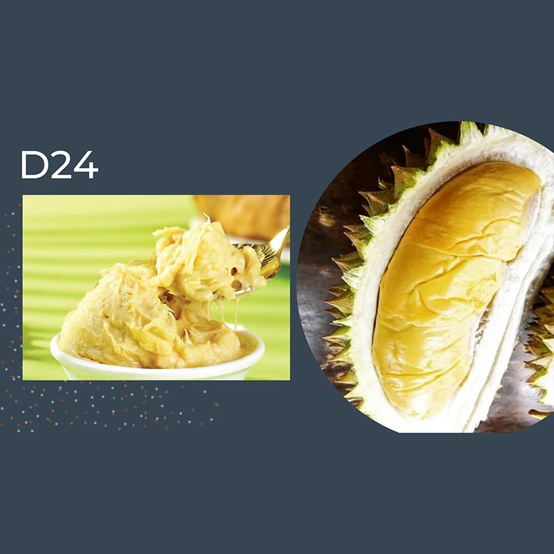 Wholesale High Quality Fresh D24 Durian (Paste) Aromatic Taste with Good For Making Pastry and Dessert Products