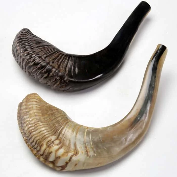 Shofar Ram Horn Kosher Jewish Blowing Horn Natural