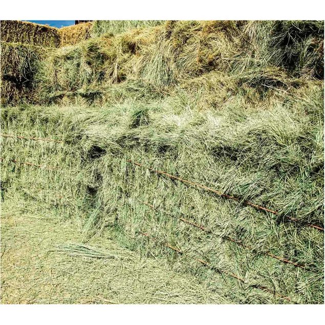 Feed Grade American Alfalfa Hay Timothy Hay Cattle Horse Pets Sheep 500g Sample Alfafa Hay for Animal Feeding