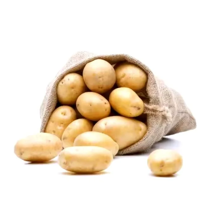 Bulk Fresh Holland Potatoes Available Now Affordable Prices for High Quality Potatoes for Your Recipes