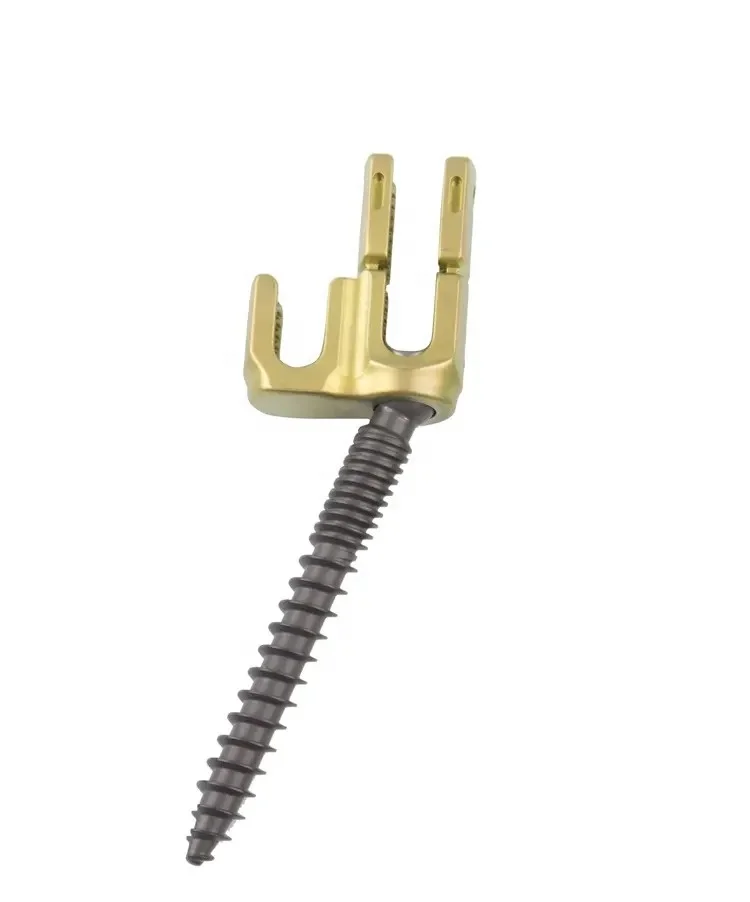 Orthopedic titanium screw Double Head Polyaxial Spine Screw Dual-thread surgical best top quality implants