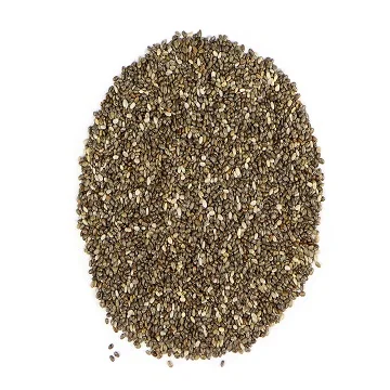 Bulk Chia Seeds Dried Seed for Sale at Good Price