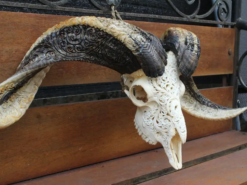Crafted Buffalo Bull & Ram Skull with Majestic Horns  Modern Cultural Wall Art and Stand Decoration for Sophisticated Interiors