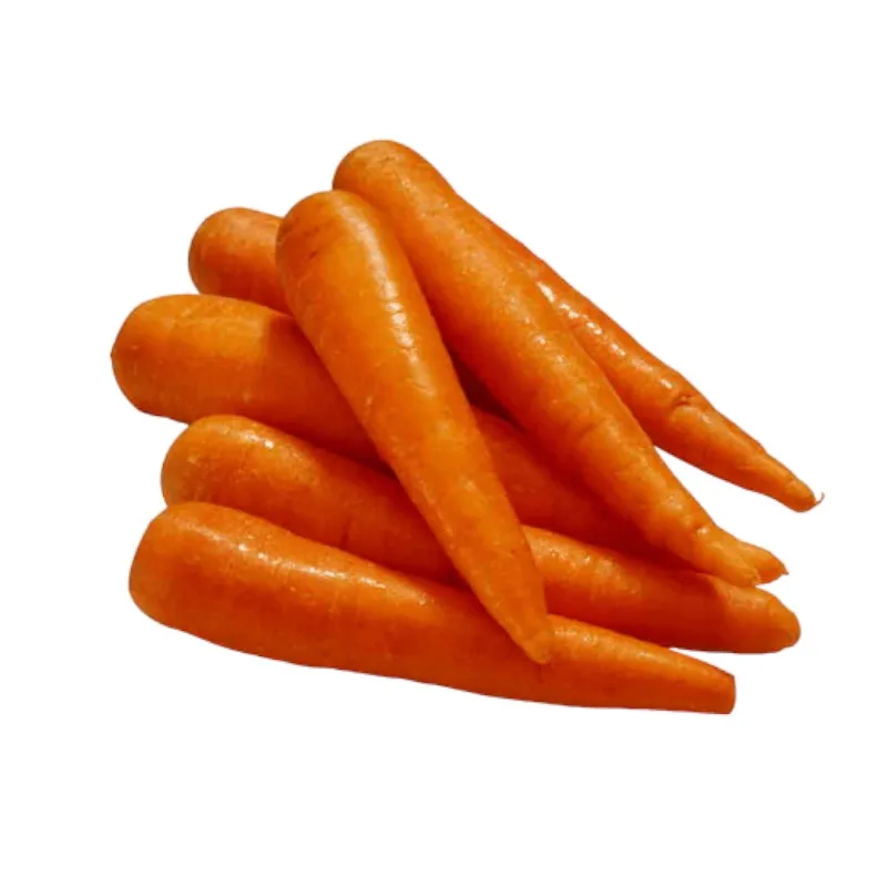 Wholesales fresh carrot various sizes S M L 2L to choose - Reliable Vietnamese Supplier