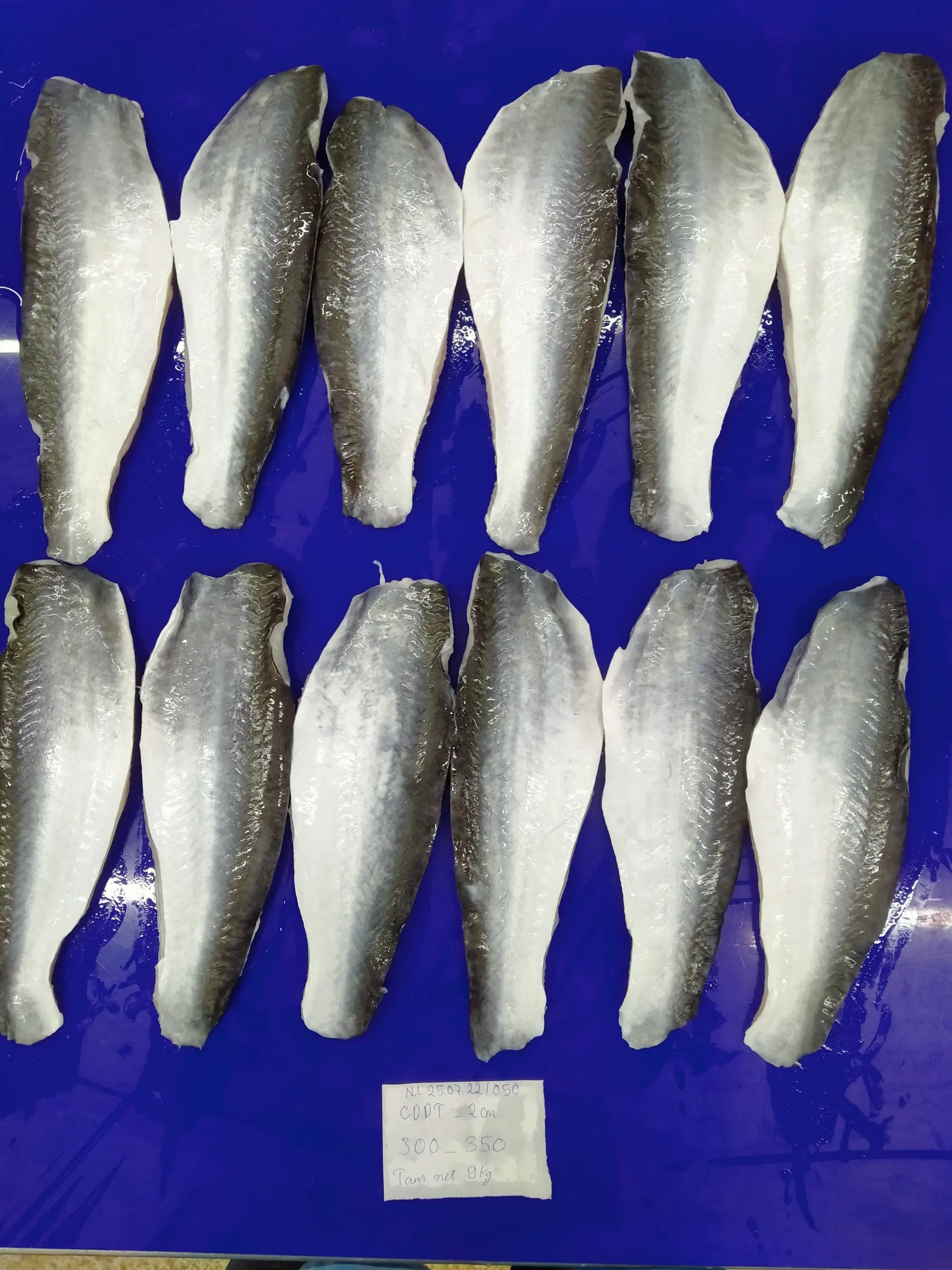 Hot Organic Best Selling Item Frozen Pangasius fish fillet