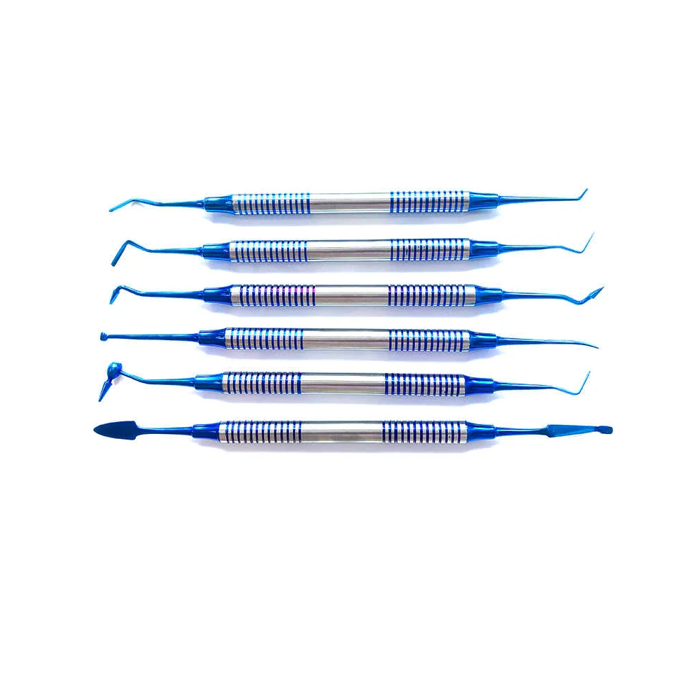 Dental Composite Filling Instrument Set Titanium Coated Restorative Kit CE