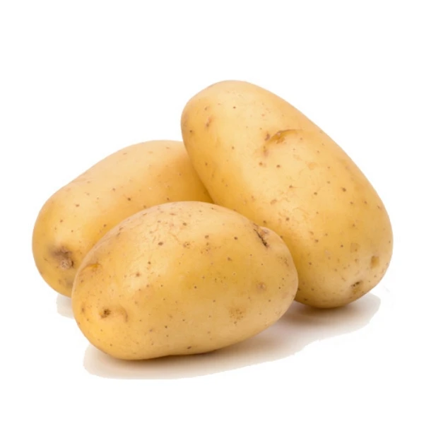 Vietnam potatoes supplier fresh new crop potatoes wholesale fresh prices for export fresh potatoes
