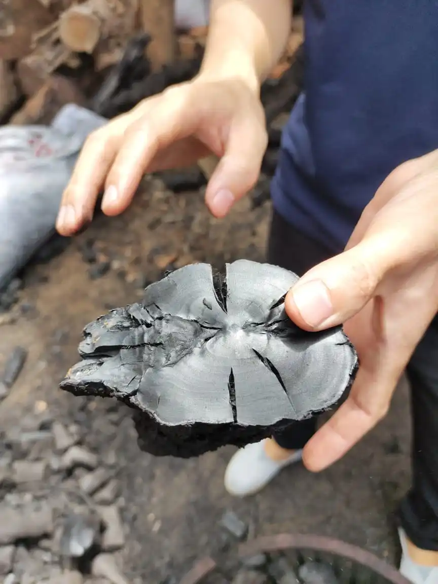 TOP QUALITY CHEAP PRICE VIETNAM COFFEE CHARCOAL