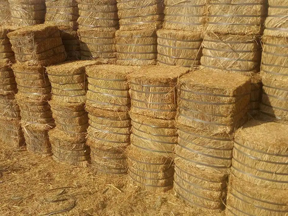 Highest Quality Chopped Pakistani Round Bales Wheat Straw Poultry Animal Feed Wheat Straw Feed Animal Feed Production
