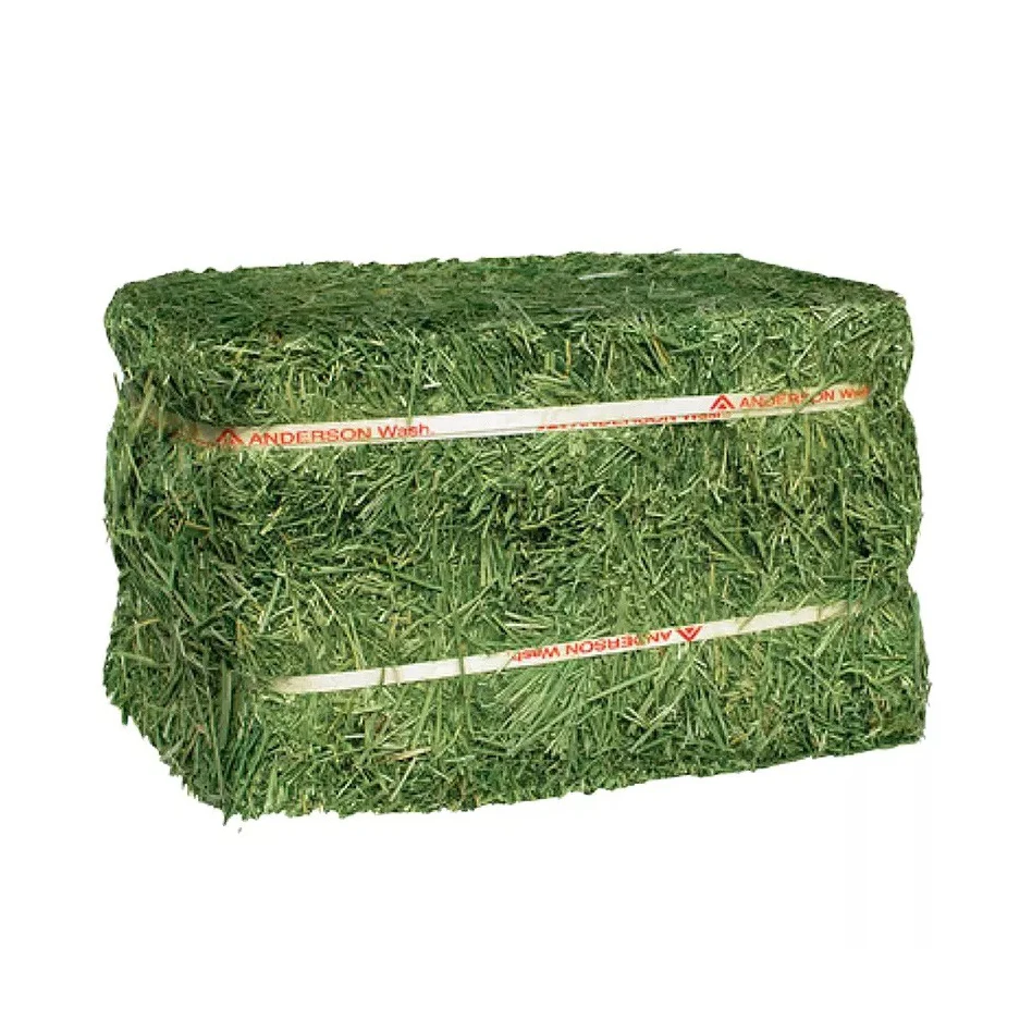 Alfalfa Hay Animal Feeding Stuff Alfalfa, hay/alfalfa hay pellets