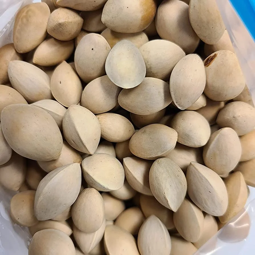 Wholesale ginkgo Nuts Good Price For Sale/Ginkgo Nuts ,Peeled Ginkgo Nuts
