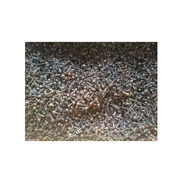 Hot Selling Cloves seed Bulk Spices For Wholesale High Quality Exported Cloves seed Quality Dried Premium Cloves seed Australia