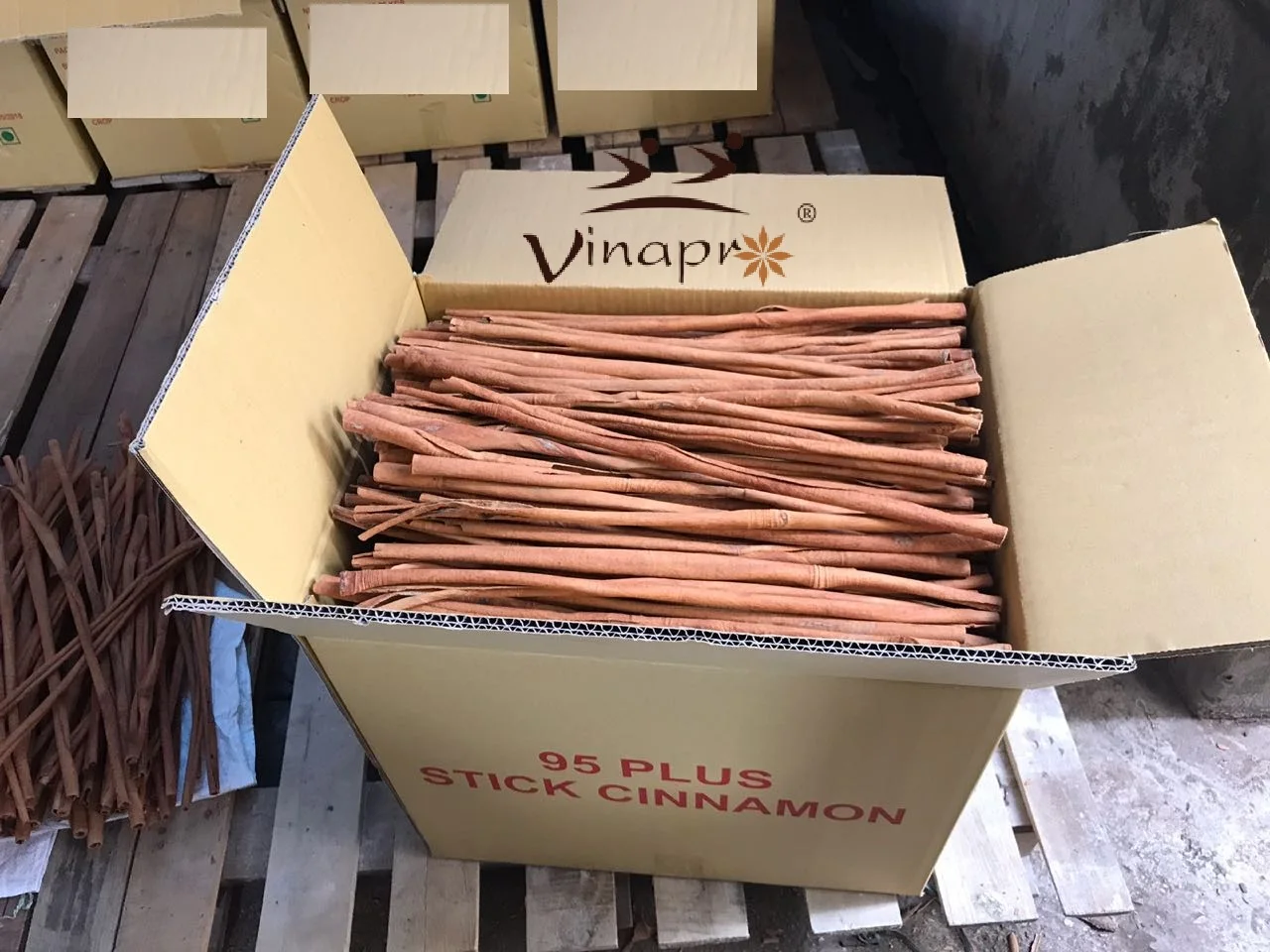 All types of Viet Nam CINNAMON STICK / CASSIA POWDER/ SPLIT CASSIA CINNAMON