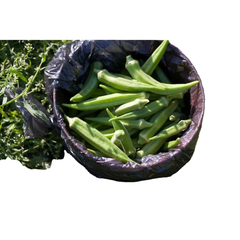 Новое поступление стандартной упаковки для okra pusa sawani green