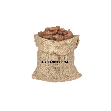 Cocoa Beans Cacao beans Dried Raw Cacao Fermented Cocoa Beans
