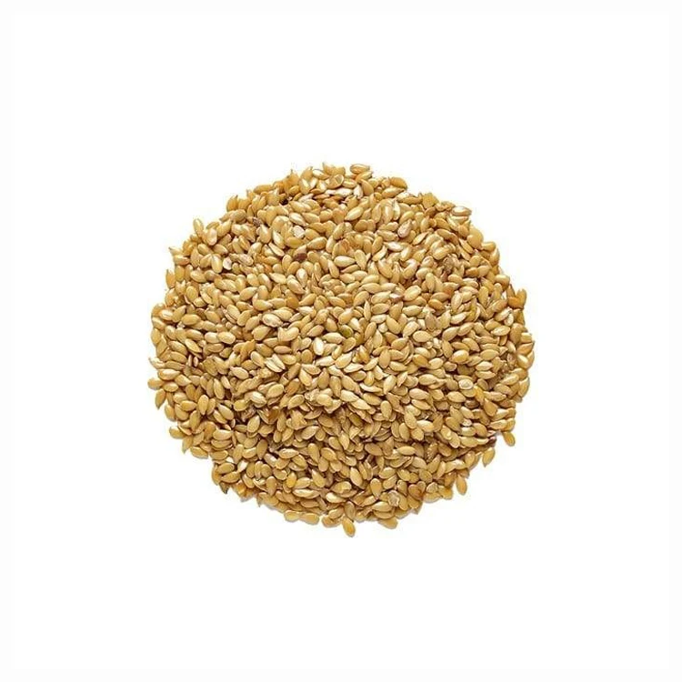 Wholesale Price Forage seeds for sale in bulk