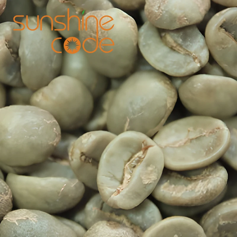Sunshine Code Coffee Green Beans Arabica Raw Beans Price 60Kg Green Coffee Import With Free Sample