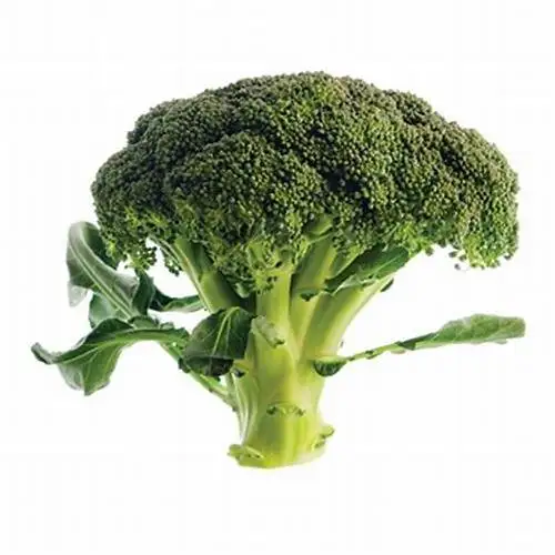 Высококачественный продукт из Таиланда свежий брокколи здоровые новые натуральные и