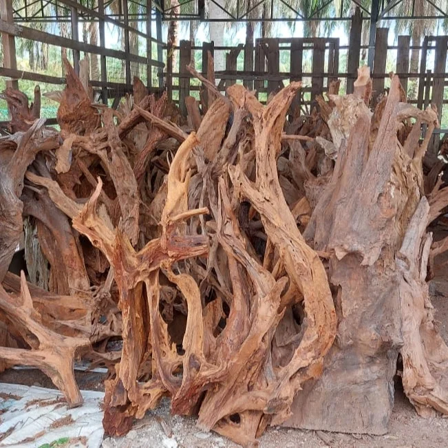 Wholesale Driftwood Grade A Quality Different Size Natural Mangrove Wood Spider Driftwood For Mangrove Aquarium Decoration