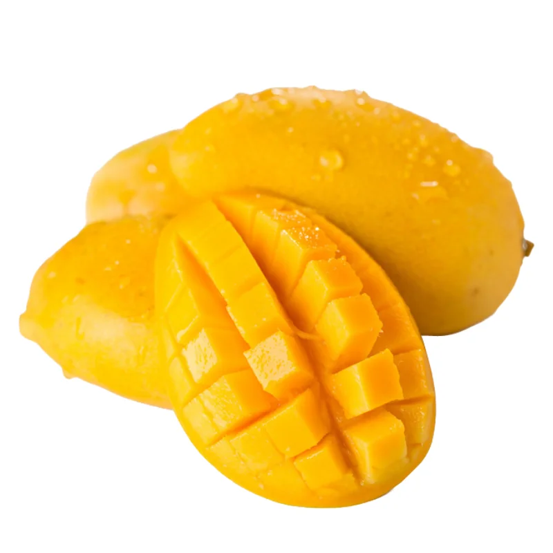 Оптовая продажа, свежие тропические фрукты высокого качества, желтый кот Chu манго, сладкое манго из Вьетнама, готов к отправке на экспорт