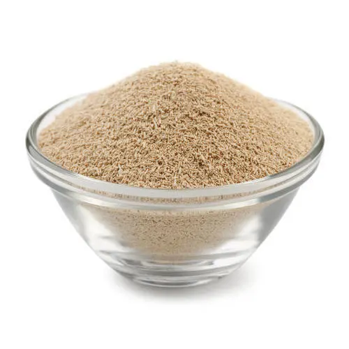 Best Bread Baking Yeast powder Yeast Instant dry yeast For Sale