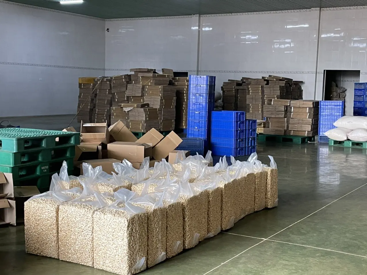Лучшая распродажа по низкой цене цена вьетнамские сырые орехи кешью ядра WW210 сушеные Wholes Натуральный Орех Кешью