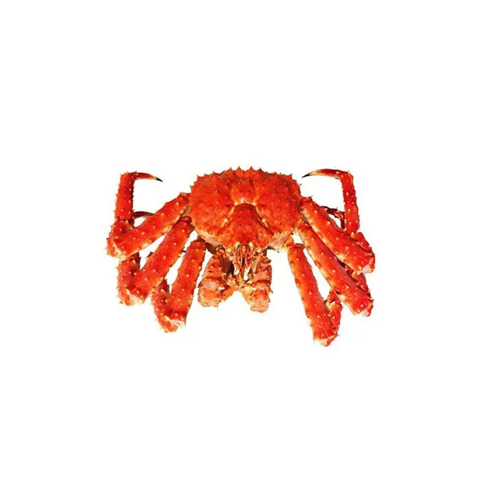 Fresh Red King Crab Fresh/frozen/live Red King Crabs