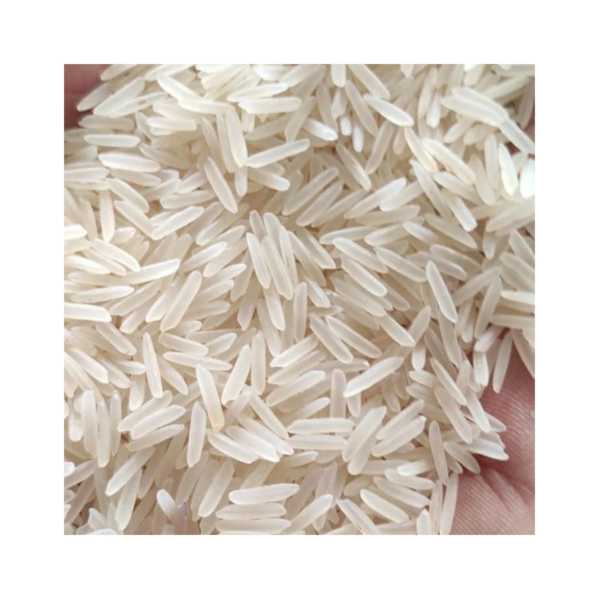Basmati Rice/Long Grain Rice/1121 Sella Basmati Rice!