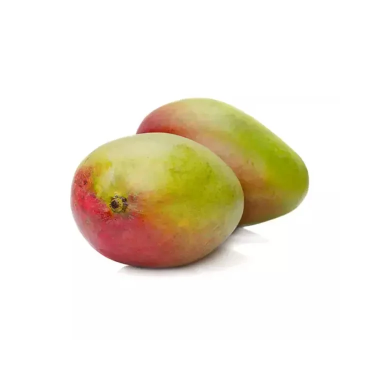 Wholesale Fresh Mango Organic 100% Mango with good price Fresh Seddika mango certified high quality fresh