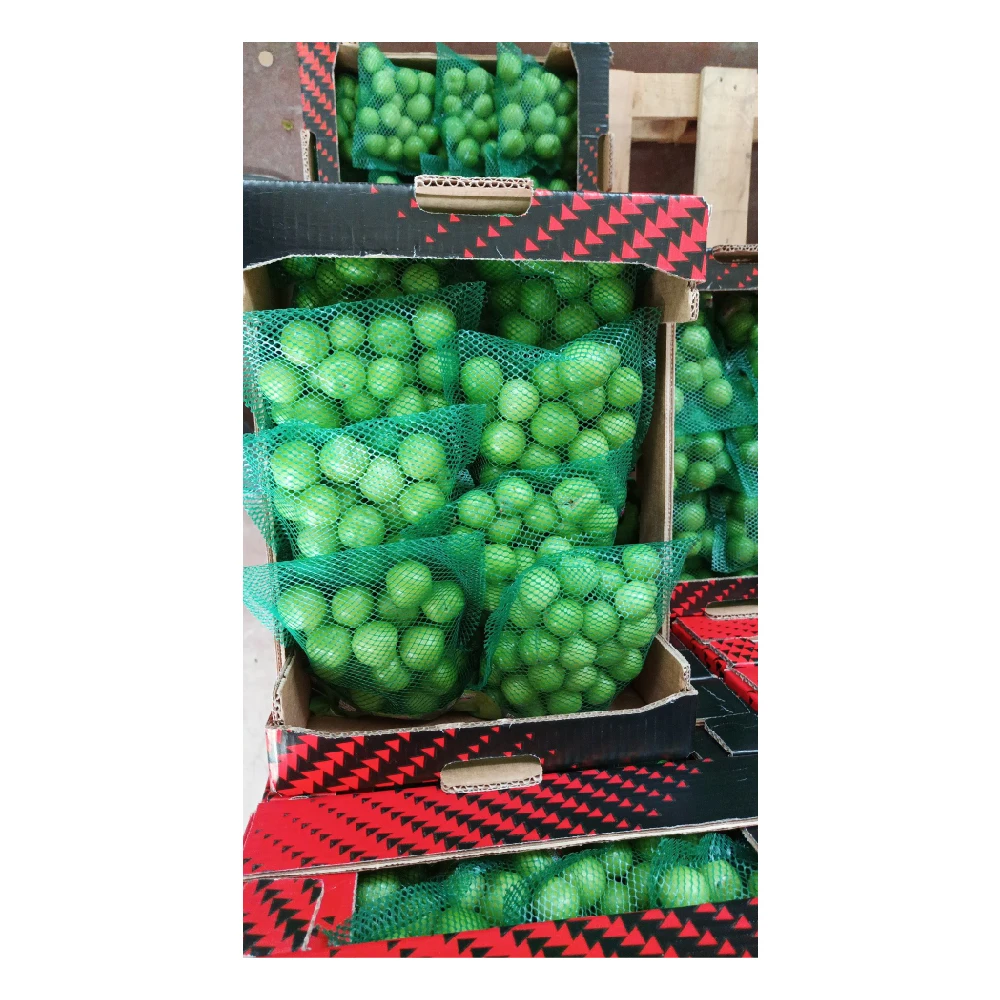 Wholesale Turkey Origin Fresh and Delicious Green Plums Plum Green Plum Fruit Vegetable Food High Quality