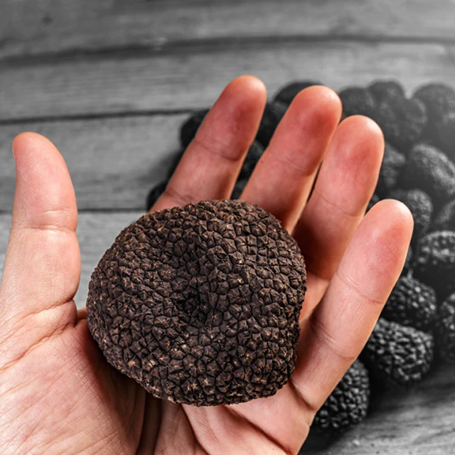 New Product 2023 Italian Whole Black Summer Truffle 128 g