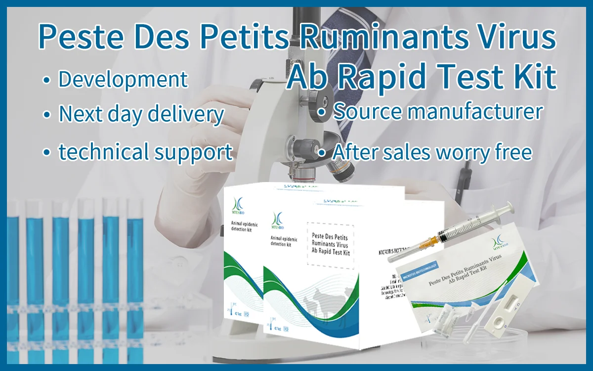 Pig horse cattle sheep Animal Disease Testing Kits Virus A Ab Rapid Asa-I Ab Rapid African Swine Fever Porcine Toxoplasma Gondi